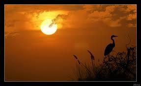 Delta Dunarii - s22.jpeg